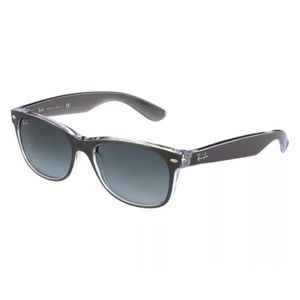Ray-Ban Wayfarers Polarized (Gunmetal/Transparent)